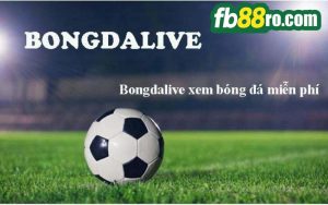 bongdalive tv trực tiếp bóng đá