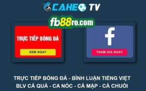 caheo tv trực tiếp bóng đá