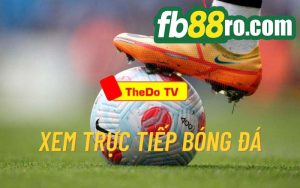 thedo tv trực tiếp bóng đá