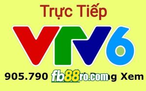 vtv6 trực tiếp bóng đá